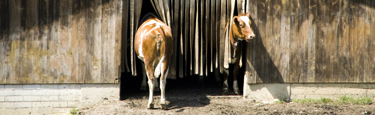 vlhf - Verband der Landwirte mit handwerklicher Fleischverarbeitung